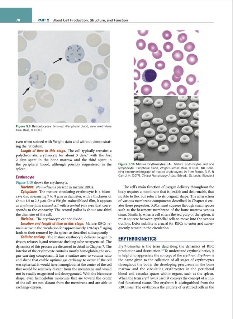 Blood cell production